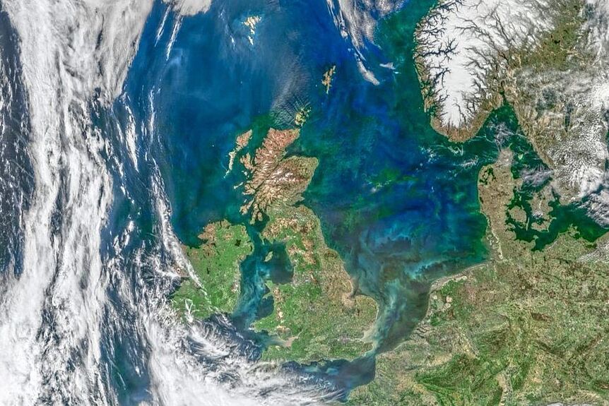 Phytoplankton bloom in the north sea