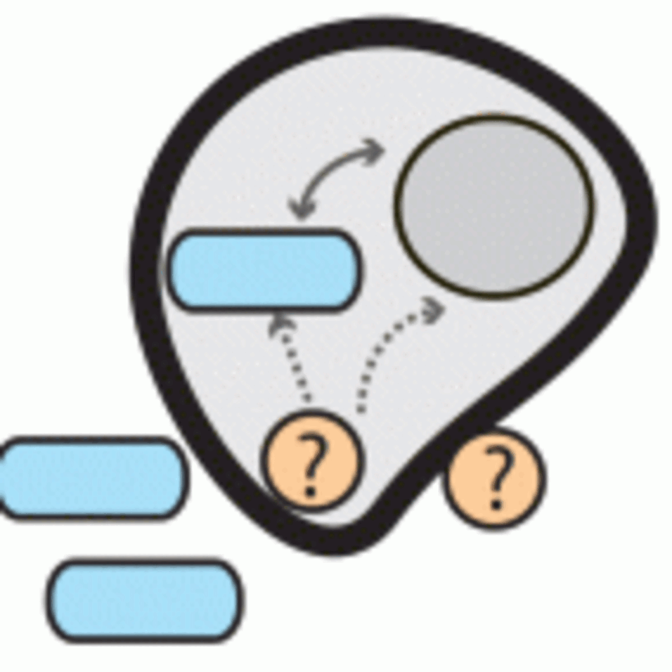 No phylogenetic evidence for ménage à trois at origin of plants