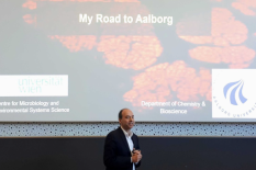 Professor Wagner giving is inaugural speech at the University of Aalborg