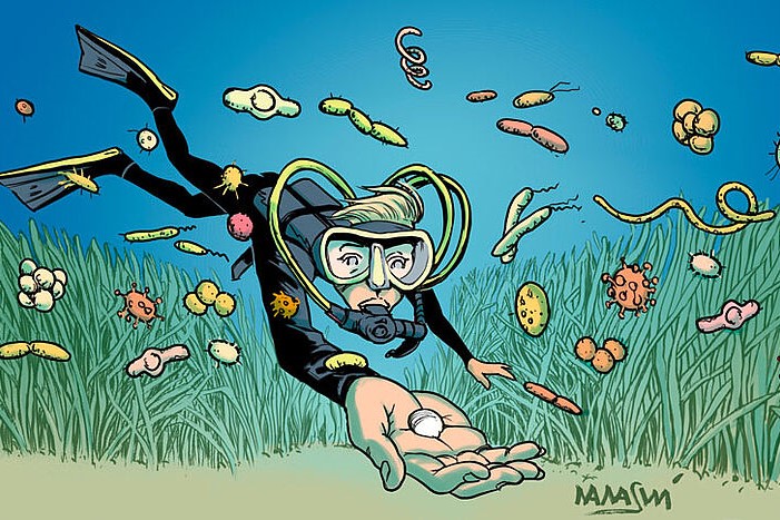 Comic of a researcher diving to the ground of the ocean and finding a lucine clam