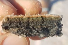 ultra saline microbial mats